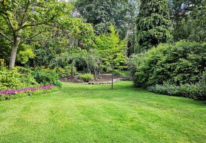 Optimiser l'expérience du jardin à Monceau-Saint-Waast