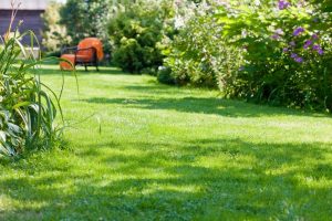 travaux jardin et paysage Monceau-Saint-Waast